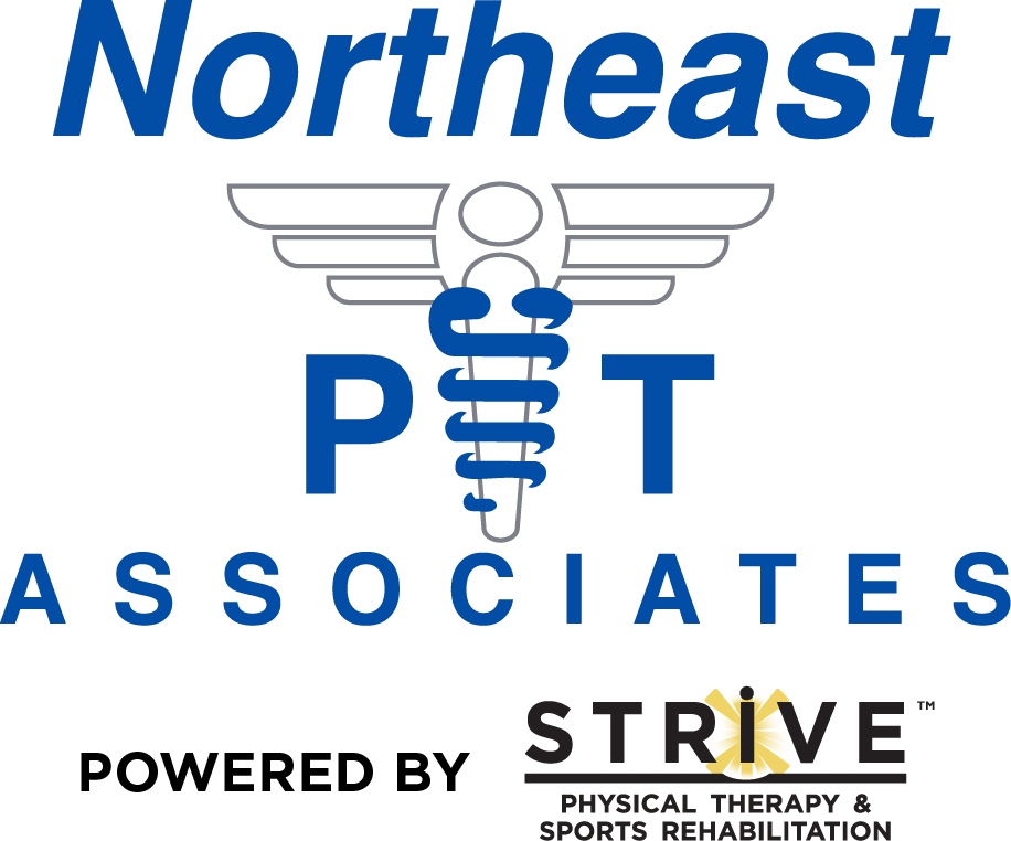 Northeast PT Associates - Powered by Strive - Logo - 1